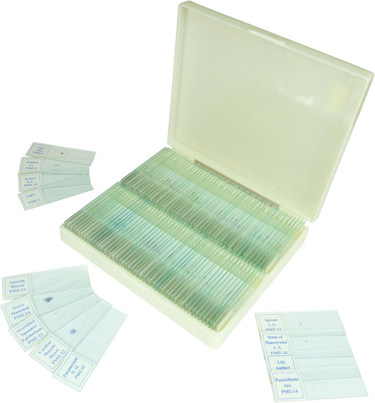 Microscope Slides, Set, 100 Piece, Prepared Animal, Plants, Insects, Botany, Biology, Anatomy, Specimens on Glass with Bonus Plastic Case Perfect for Students, Kids, Home or School