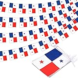 Panama String Flag Pennant Banner, Small Mini