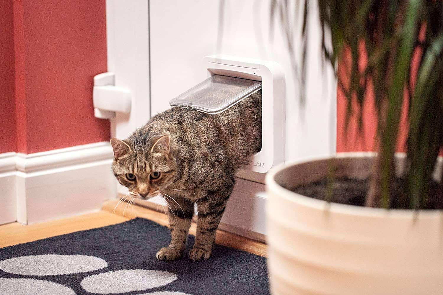 cat door microchip activated