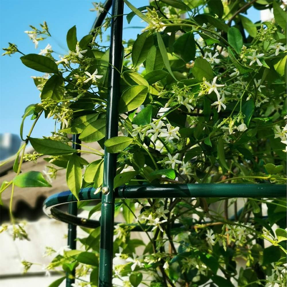 ART TO REAL Enrejado para Plantas trepadoras, Enrejado de Hierro ...