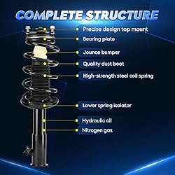 Front & Rear Strut Shock Assembly w/Coil Spring for