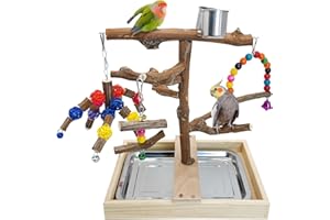 Apatal Portable Bird Perch Stand with Large Potty Tray Natural Wood Tabletop Training Gym with Chewing Toy & Hanging Swing Parrot Playground Toy for Conures Cockatiels Parakeets Lovebirds Canaries