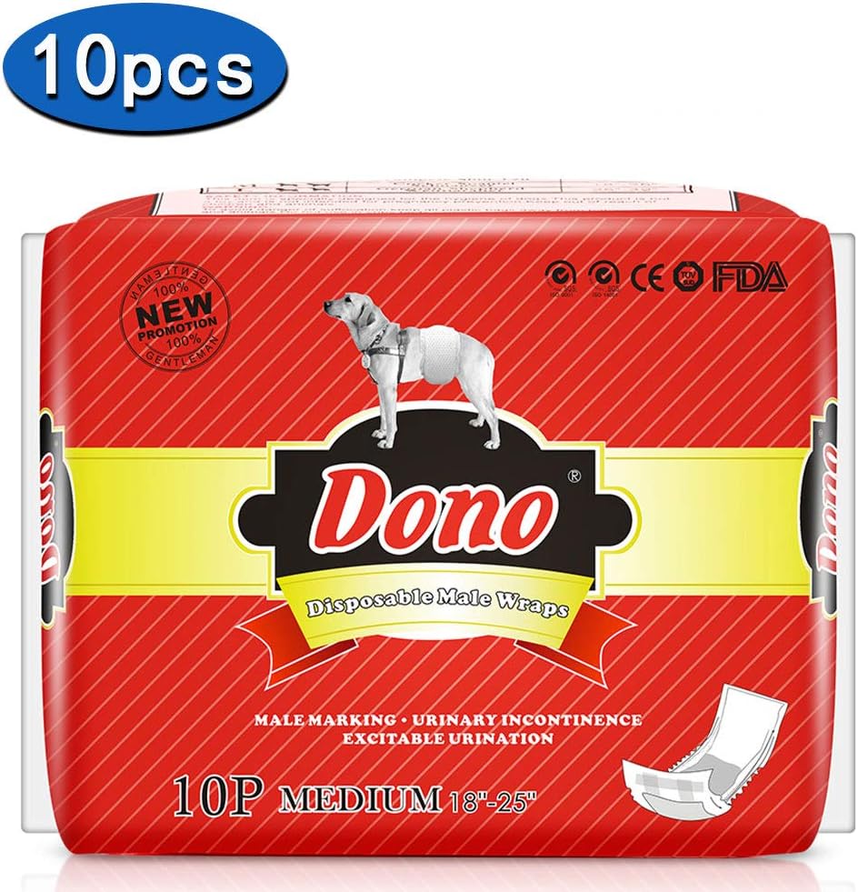 Best carpet stretch and rescue