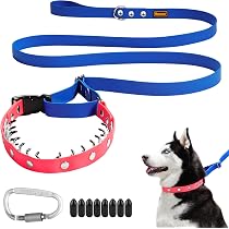 Personalised Martingale Dog Collar – Reflective, Escape-Proof, Anti-Pull, With Engraved Metal Buckle