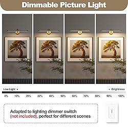 Tassuowell Hardwired Picture Light,24 Inch Dimmable