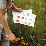 Healthy Family Kids Gardening Set Grow Your Own Deluxe Seed Kit view 6