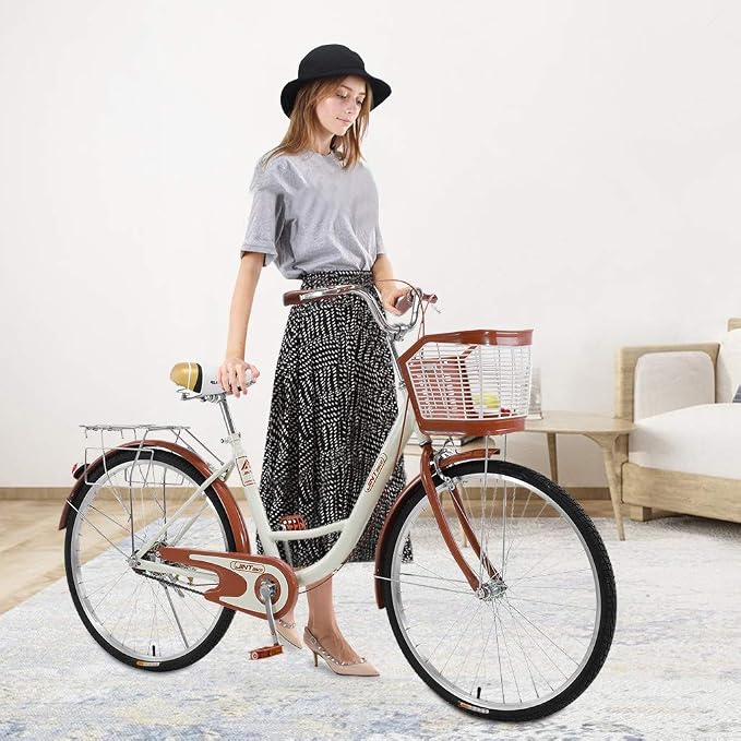Xinqinghao Cruiser Bicycle Comfortable Commuter