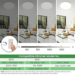 hepside 12Inch Flush Mount Light Fixture