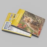evelay 2026 British Wildlife Wall Calendar Slim Month to View Planner UK view 8