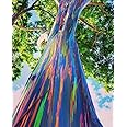 1-1000pcs Rainbow Eucalyptus Tree Seeds Indonesian Gum Mindanao Binacag Sarassa 0128 (25+ Seeds)