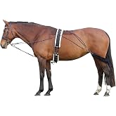 Hunters Saddlery Lunging Aid for Horses Compatible with Pessoa Training System