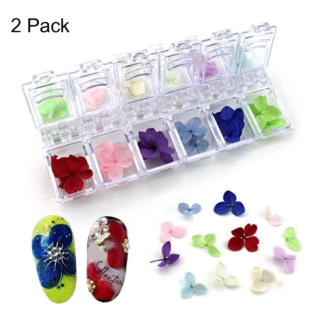 CCbeauty 2-Packs 12Colors Natural Real Dry Flower Sticker Decals Nail Art Decorations Kit 3D