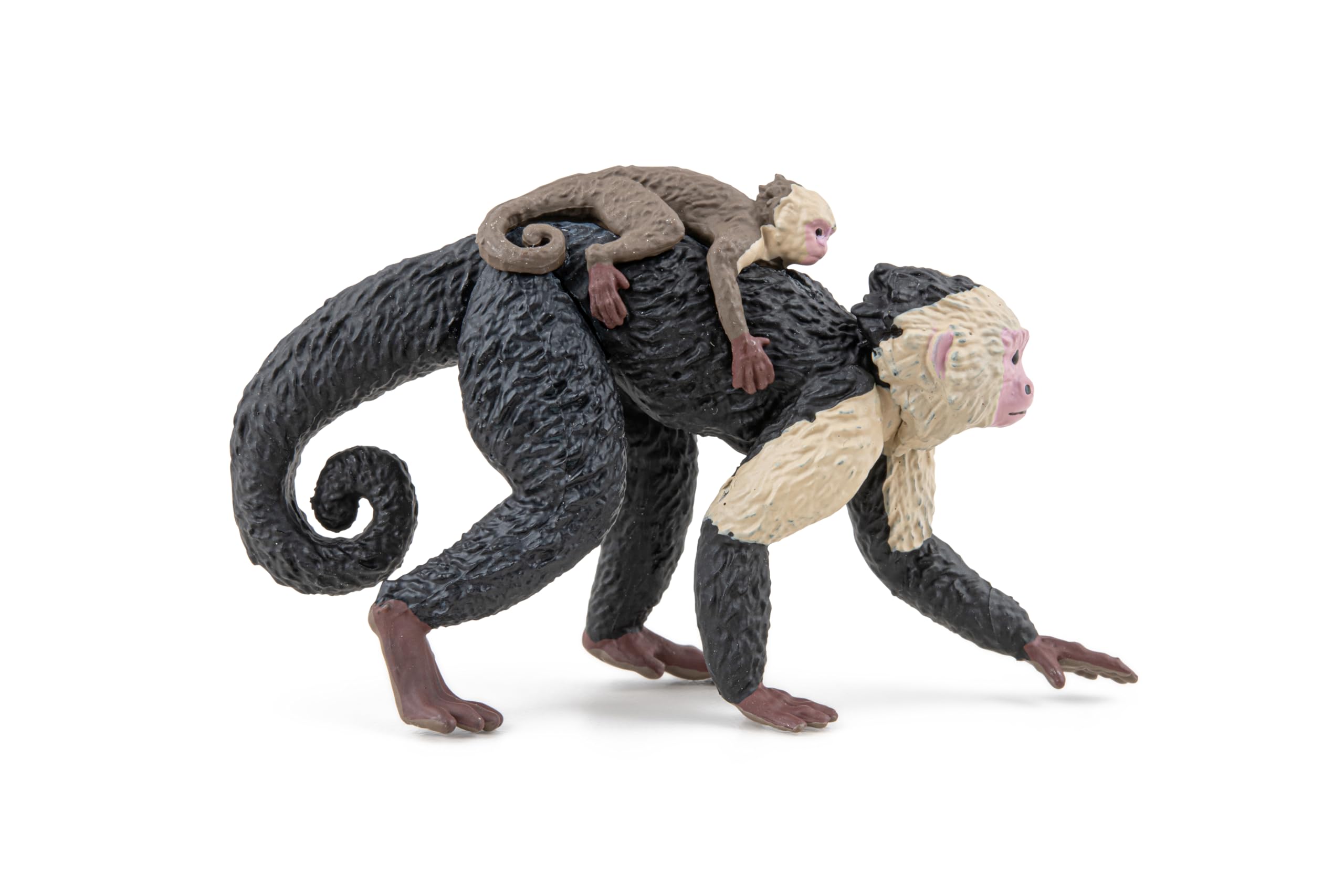 Papo - Realistic Capuchin Monkey Figure - Ages 3+ - Wild Life Collection - Educational Play Primates - Gift Idea Toy for Girls and Boys