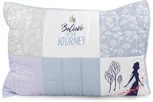 Saturday Park Disney Frozen Quilted Sham- 1 Piece 100% Cotton Bedding with Elsa & Anna - Oeko-TEX Certified (Disney Official)