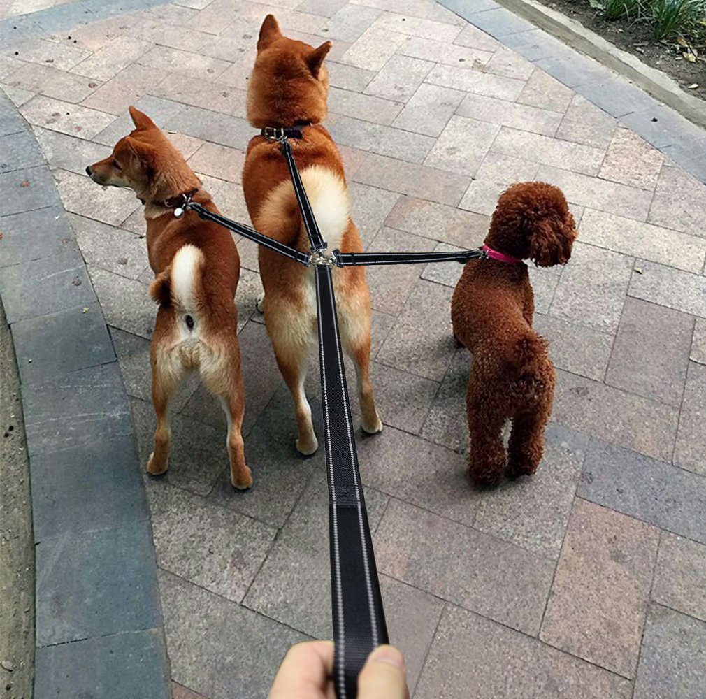 triple coupler dog leads
