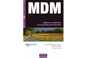 MDM: Enjeux et méthodes de la gestion des données (French Edition)