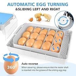 Incubators for Hatching Eggs 15-35 Eggs Incubator