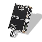 Wuzhi audio ZK-1001B Mono Amplifier Board with