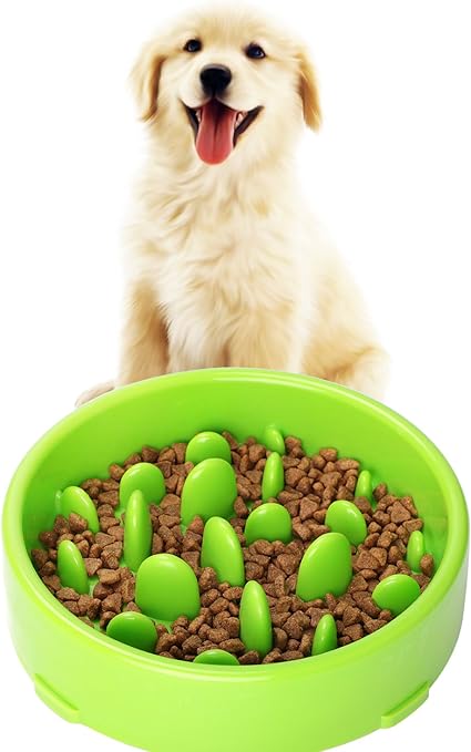 Amazon Com Jasgood Slow Feeder Dog Bowl New Arriving Fun Feeder