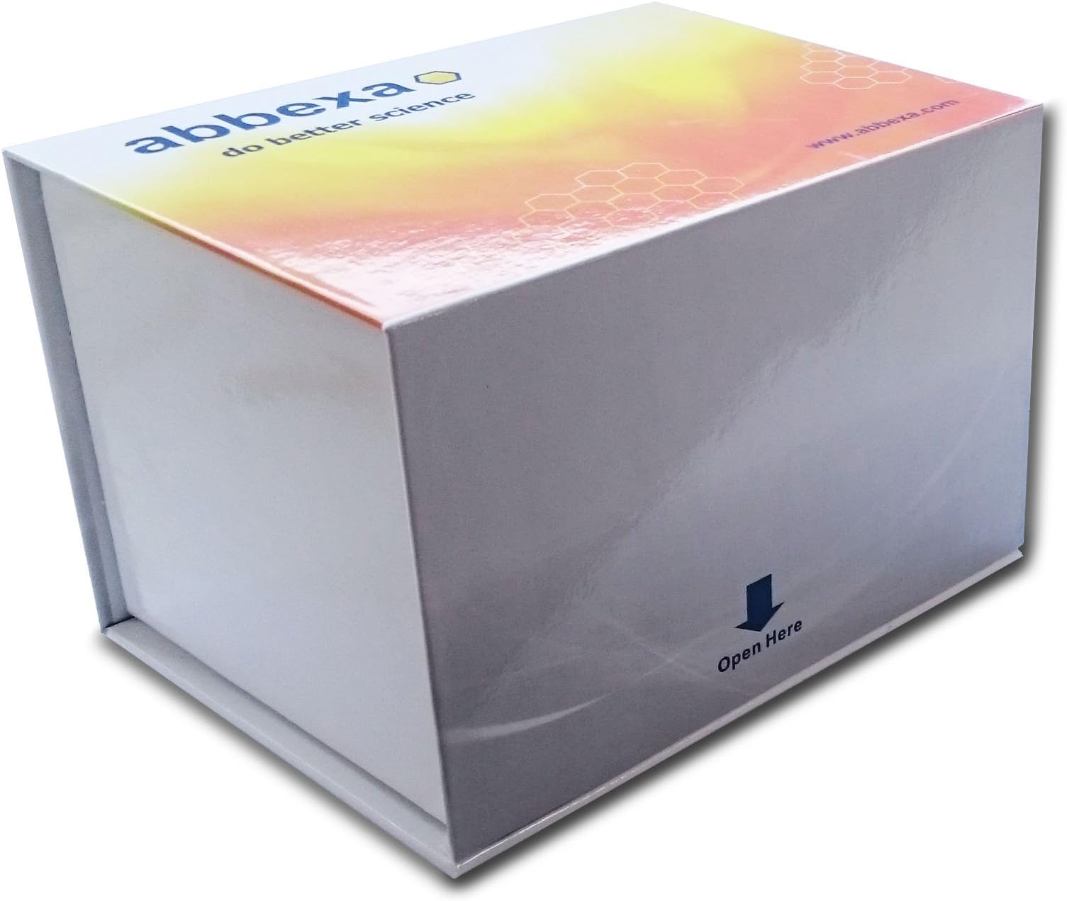 Mouse Glucagon ELISA Kit