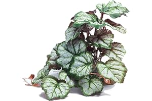 Woyrise Reptile Artificial Plants for Terrarium Decor, Amphibian Habitat Hideout Bearded Dragon Tank Decorations fit Crested Gecko Leopard Lizard Chameleon Ball Python Snake Frog - Saxifrage