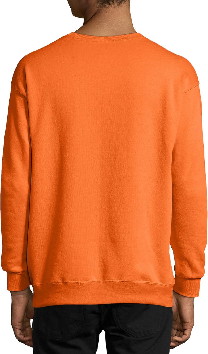 Men Hanes Mens EcoSmart Fleece 