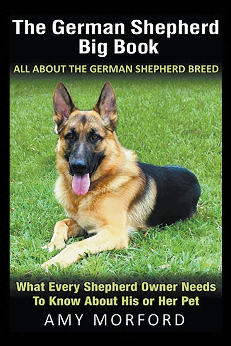 all shepherd dogs