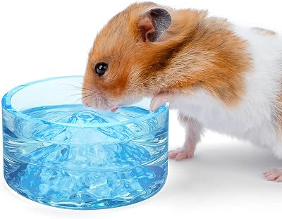 Niteangel Mount Fuji Glass Hamster Bowls with Raised Bottom 50 ml