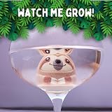 Boxer Gifts Grow a Sloth Toy - Kids Grow 6x Size Stocking Filler view 4