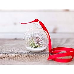 VATIN 1/4 inches Double Faced Red Polyester Satin