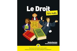 Le droit Pour les Nuls NE (French Edition)