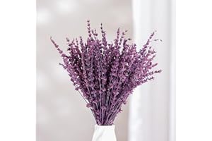 GIFUGI Purple Dried Lavender Flowers Bouquet- 15''-17 " Real Preserved Lavender Stems Bundle for Shower Home Wedding Vase Decor, Soap and Candle Making, Fragrance, Live Plants Silk Flowers(50g,1.76oz)
