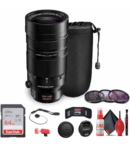 Amazon.com : Panasonic Leica DG Vario-Elmar 100-400mm f/4-6.3
