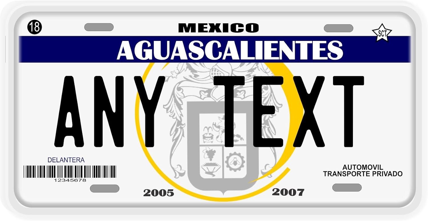 Amazon Com Placas Aguascalientes License Plate Car Electronics