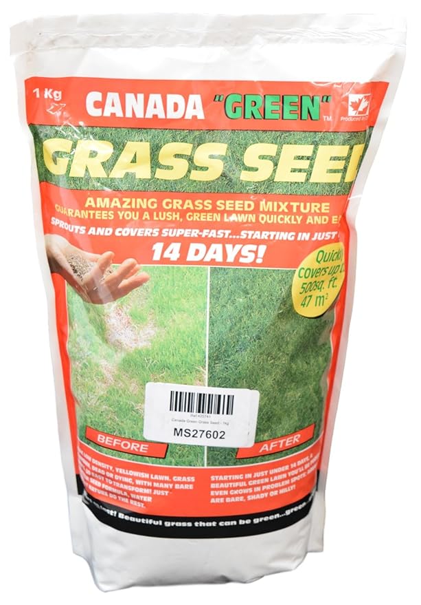 Canada Green Grass Seed 1kg Amazon.co.uk Garden & Outdoors