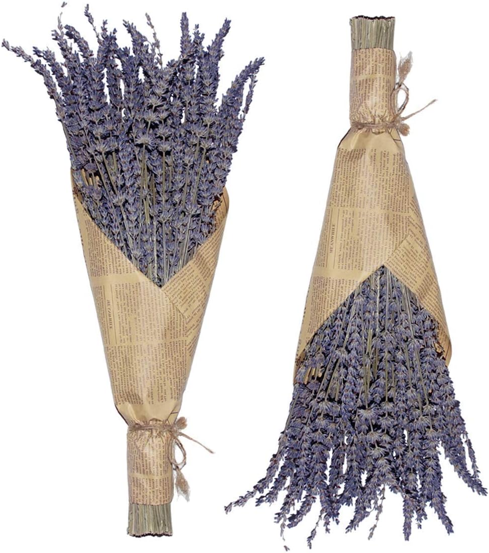 Dried & Preserved Flora - Cedar Space Lavender Dried Flowers 2 Bunches Dried Lavender Ideal Home Fragrance Products for Home Decorations, Wedding, Party, Photography & Flower Arrangements, Total Length 16 Inches