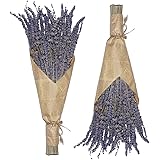 Cedar Space Lavender Dried Flowers 2 Bunches Dried Lavender Ideal Home Fragrance Products for Home Decorations, Wedding, Part