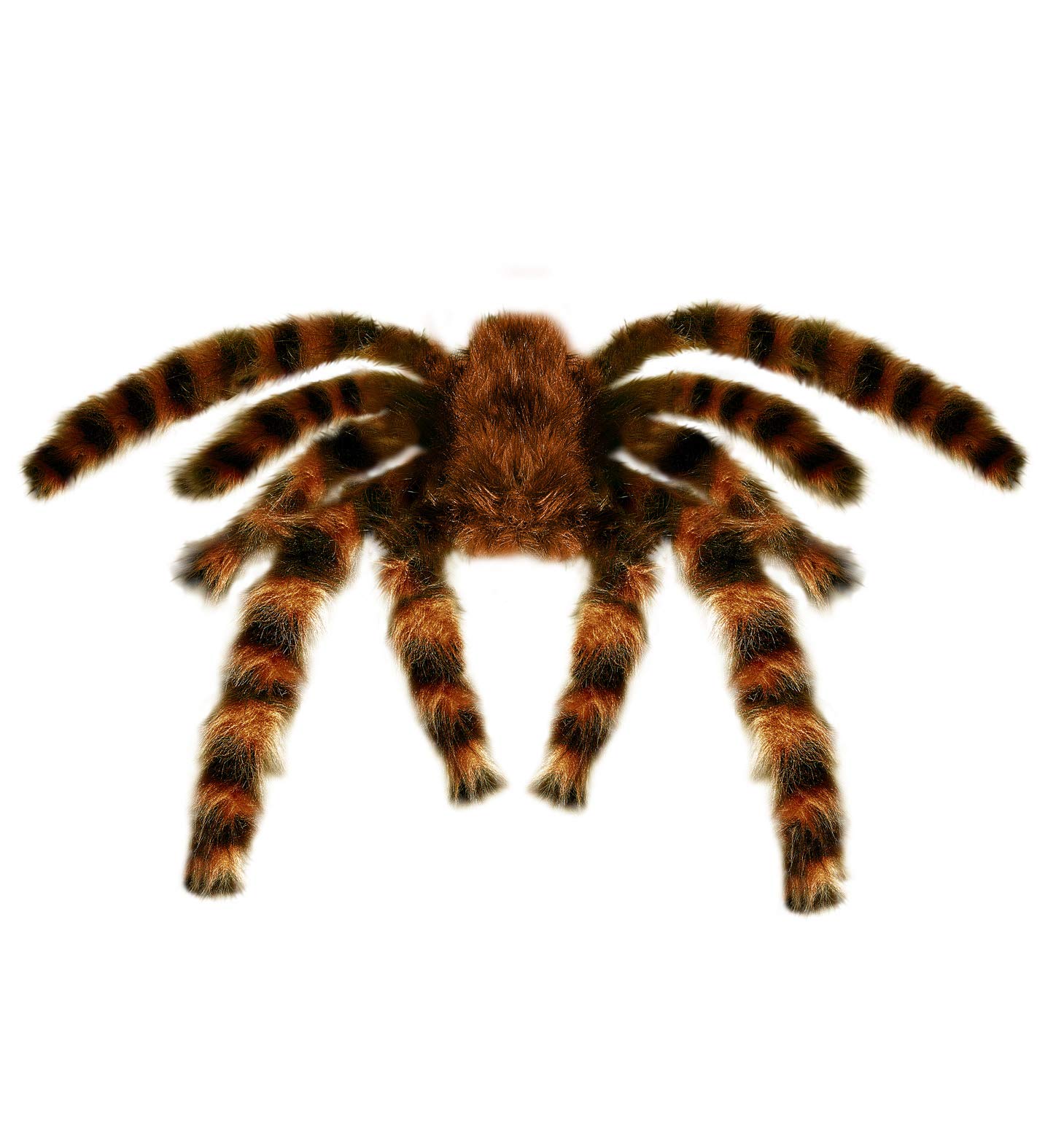 Tarantula Furry 65cm Bendable Accessory for Fancy Dress