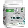 Sunwarrior Creatine Monohydrate Powder | Muscle Building Pre Workout Vegan Keto Friendly Micronized & Easily Mixes 300g Tub (