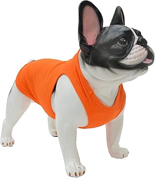 Amazon Lovelonglong犬の純粋な綿のtシャツ 快適な無地犬のベストの小さい中 大型犬のための通気性の綿の不足分の袖のtシャツ Orange Xs Lovelonglong シャツ パーカー 通販 Amazon Lovelonglong犬の純粋な綿のtシャツ 快適な無地犬のベストの小さい中 大型犬のための通気性の綿の不足分の袖のtシャツ Orange Xs Lovelonglong シャツ パーカー 通販