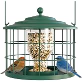 Birdream Metal Cage Bird Feeder for Outdoor Hanging, Green | Durable Metal, Quick-drain Holes, Easy to Refill, Squirrel Resistant Starling Resistant Design for Bluebird Finch Small Bird