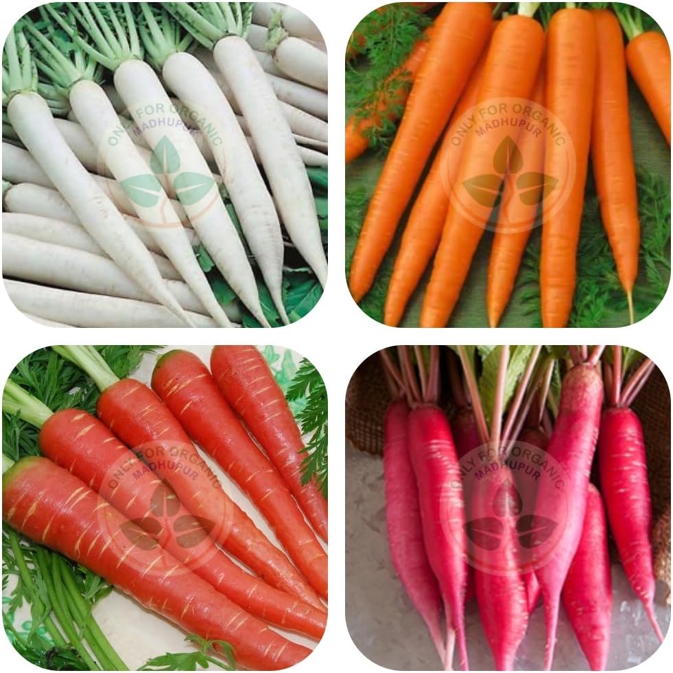 Only for Organic Combo of Radish and Carrot Seeds (600+ Seeds) with 300 grams Vermicompost