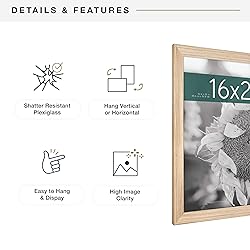 MCS Studio Gallery Classic 16x20 Poster Frame