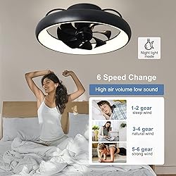 DLLT 20'' 360-Degree Rotation Ceiling Fan with