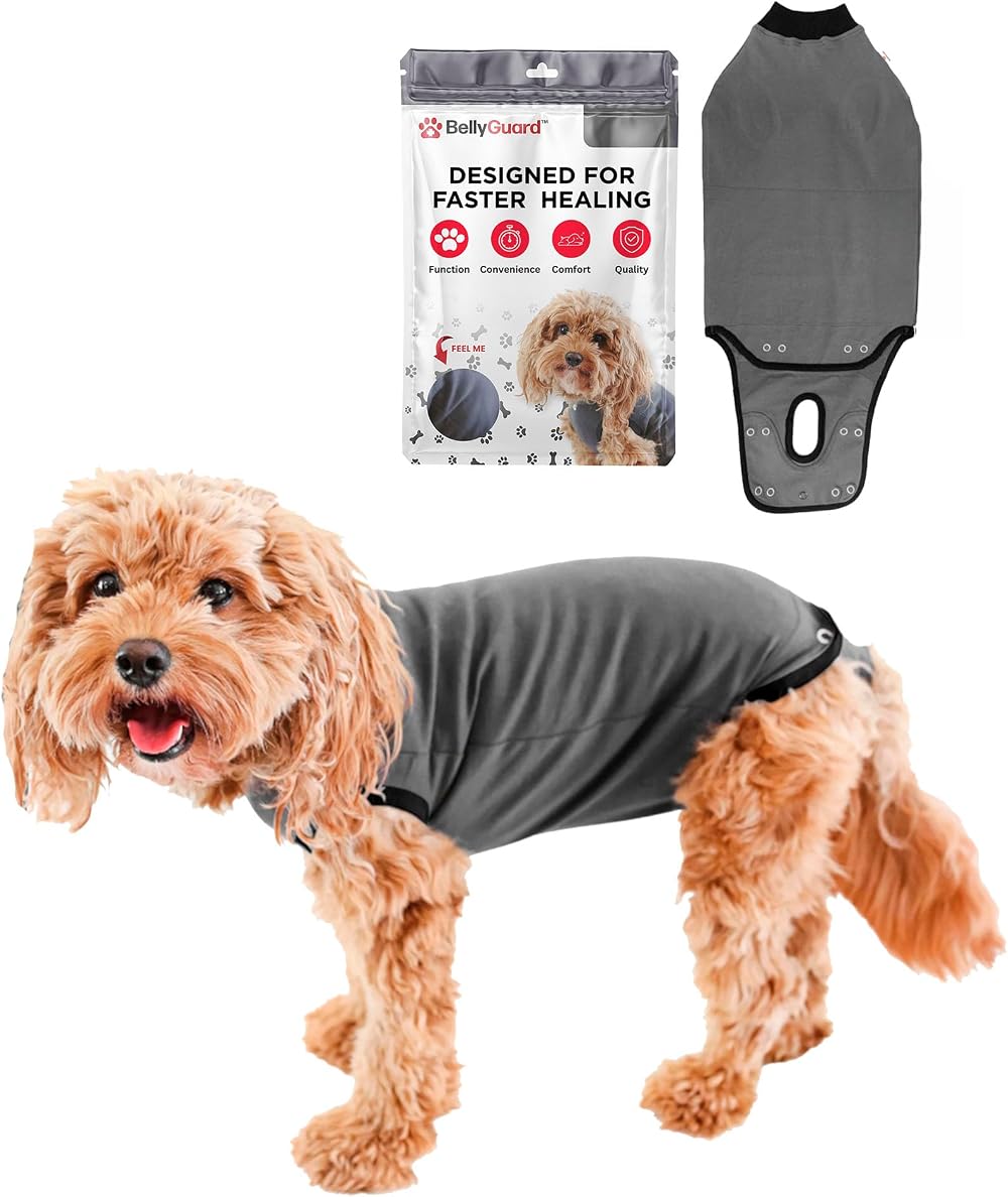 BellyGuard Recovery Suit for Dogs Post Op Spay Neuter Onesie