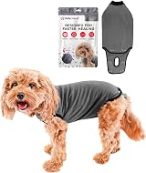 BellyGuard Dog Recovery Onesie Large Grey Cone Alternative After Surgery