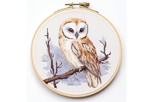 Max Stitch Design Owl Series1 Craft Kits, Owl Cross Stitch Kit, 14ct, 90x90 Stitch, 16x16cm, 100% Cotton, Small Easy Counted 