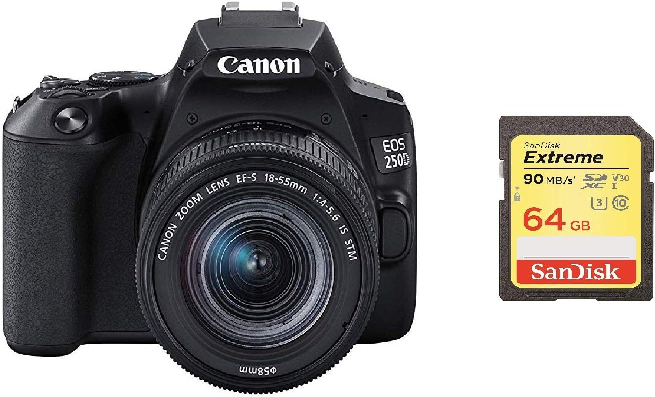 EOS 250D Body + Canon EF-S 18-55mm f/4-5.6 IS STM Lens - Black + Sandisk 64G Memory Card