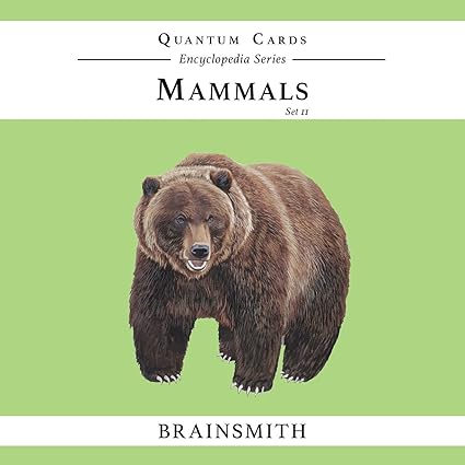 Brainsmith Quantum Flashcards, Mammals - Learning Flash Card Set 2 for Toddlers and Kids (8 months to 8 years) for Memory and Brain Development
