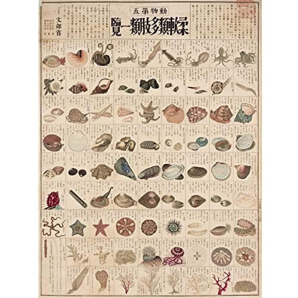 Artery8 Kato Chikusai Species of Sea Life Shellfish Japanese Unframed Wall Art Print Poster Home Decor Premium